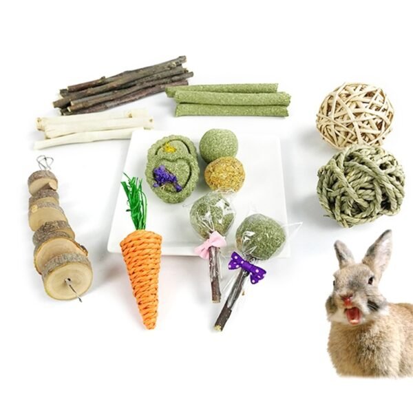 Rabbit Pet Tooth Cleaning Toy Pet Chew Stick - Image 2