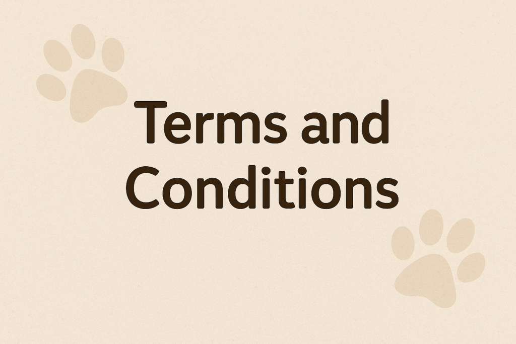 terms and conditions